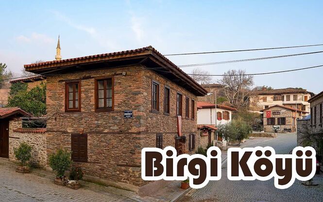 ÖDEMİŞ BİRGİ